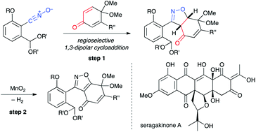 Graphical abstract: Synthesis of isoxazoles en route to semi-aromatized polyketides: dehydrogenation of benzonitrile oxide–para-quinone acetal cycloadducts