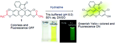 Graphical abstract: Dual signaling of hydrazine by selective deprotection of dichlorofluorescein and resorufin acetates