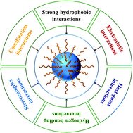 Graphical abstract: Noncovalent interaction-assisted polymeric micelles for controlled drug delivery