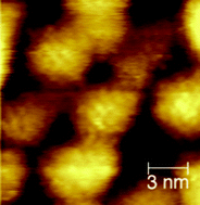 Graphical abstract: Comparative STM studies of mixed ligand monolayers on gold nanoparticles in air and in 1-phenyloctane