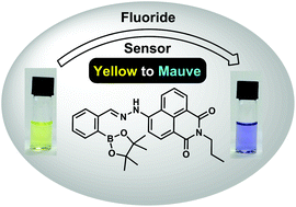 Graphical abstract: Synthesis and evaluation of a boronate-tagged 1,8-naphthalimide probe for fluoride recognition