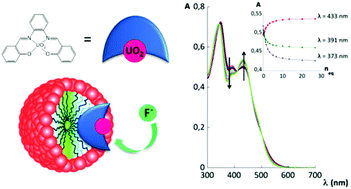 Graphical abstract: Fluoride binding in water with the use of micellar nanodevices based on salophen complexes