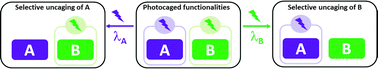 Graphical abstract: Wavelength-selective cleavage of photoprotecting groups: strategies and applications in dynamic systems