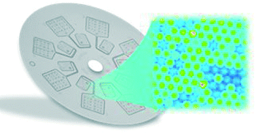 Graphical abstract: Digital droplet PCR on disk