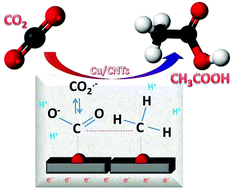 Graphical abstract: Mechanism of C–C bond formation in the electrocatalytic reduction of CO2 to acetic acid. A challenging reaction to use renewable energy with chemistry