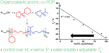 Graphical abstract: Cyclohexyl-substituted poly(phosphonate)-copolymers with adjustable glass transition temperatures