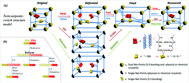 Graphical abstract: Is biopolymer hair a multi-responsive smart material?