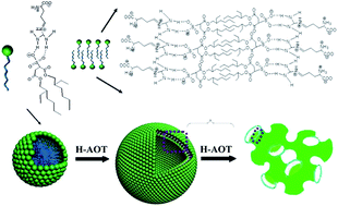 Graphical abstract: Self-assembled structural transition in l-Arg/H-AOT mixtures driven by double hydrogen bonding