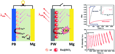 Graphical abstract: Self-powered fluorescence display devices based on a fast self-charging/recharging battery (Mg/Prussian blue)