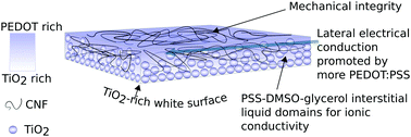 Graphical abstract: Freestanding electrochromic paper