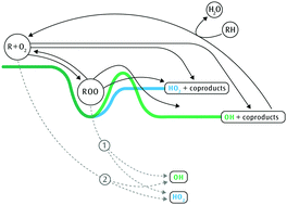 Graphical abstract: Direct measurement of ˙OH and HO2˙ formation in ˙R + O2 reactions of cyclohexane and tetrahydropyran