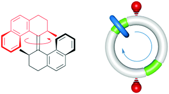 Graphical abstract: Artificial molecular motors