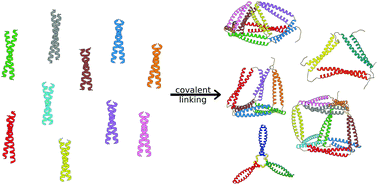 Graphical abstract: Coiled coil protein origami: from modular design principles towards biotechnological applications