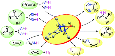 Graphical abstract: Disilametallacyclic chemistry for efficient catalysis