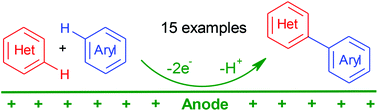 Graphical abstract: Atom- and step-economical nucleophilic arylation of azaaromatics via electrochemical oxidative cross C–C coupling reactions