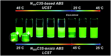 Graphical abstract: Designing the thermal behaviour of aqueous biphasic systems composed of ammonium-based zwitterions