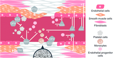 Graphical abstract: Progress and perspectives in bioactive agent delivery via electrospun vascular grafts