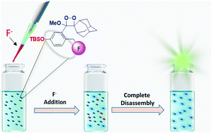 Graphical abstract: Chemiluminescence molecular probe with intrinsic auto-inductive amplification: incorporation of chemiexcitation in a quinone-methide elimination