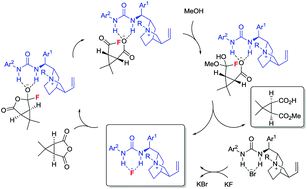 Graphical abstract: Enantioselective acyl-transfer catalysis by fluoride ions