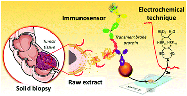 Graphical abstract: Pushing the limits of electrochemistry toward challenging applications in clinical diagnosis, prognosis, and therapeutic action