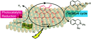 Graphical abstract: 2D-MoS2 photocatalyzed cross dehydrogenative coupling reaction synchronized with hydrogen evolution reaction