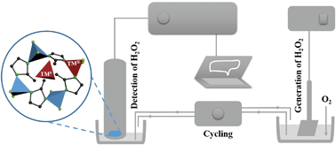 Graphical abstract: Emerging investigator series: dispersed transition metals on a nitrogen-doped carbon nanoframework for environmental hydrogen peroxide detection