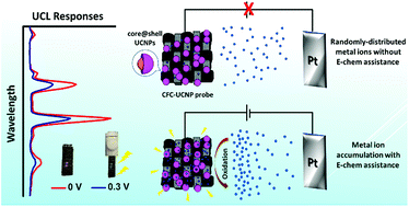 Graphical abstract: Electrochemically assisted flexible lanthanide upconversion luminescence sensing of heavy metal contamination with high sensitivity and selectivity