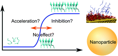 Graphical abstract: Impact of nanoparticles on amyloid peptide and protein aggregation: a review with a focus on gold nanoparticles