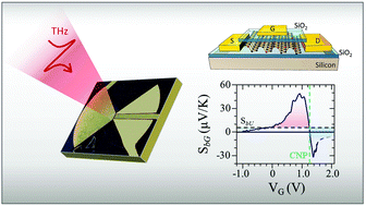 Graphical abstract: Thermoelectric terahertz photodetectors based on selenium-doped black phosphorus flakes