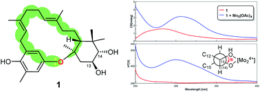 Graphical abstract: Dysohonin A, a meroditerpenoid incorporating a 6,15,6-fused heterotricyclic ring system from Dysoxylum hongkongense