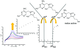 Graphical abstract: Voltammetric detection of vitamin B1 (thiamine) in neutral solution at a glassy carbon electrode via in situ pH modulation