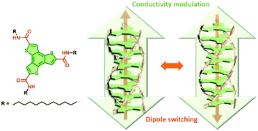 Graphical abstract: Resistive switching in an organic supramolecular semiconducting ferroelectric