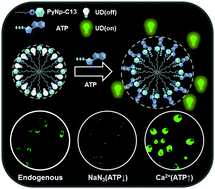 Graphical abstract: Nanomolar detection of adenosine triphosphate (ATP) using a nanostructured fluorescent chemosensing ensemble