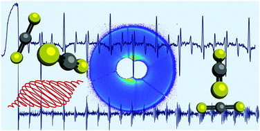 Graphical abstract: Laser-induced alignment dynamics of gas phase CS2 dimers