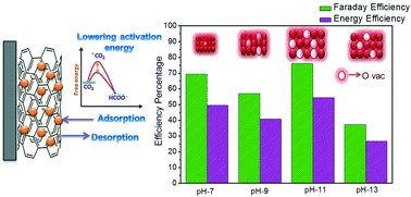 Graphical abstract: Embedding oxygen vacancies at SnO2–CNT surfaces via a microwave polyol strategy towards effective electrocatalytic reduction of carbon-dioxide to formate