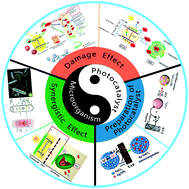 Graphical abstract: What will happen when microorganisms “meet” photocatalysts and photocatalysis?