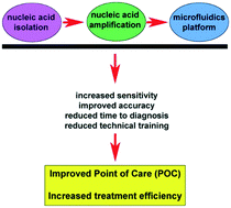 Graphical abstract: Integrated microfluidic systems with sample preparation and nucleic acid amplification