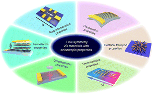 Graphical abstract: In-plane anisotropic electronics based on low-symmetry 2D materials: progress and prospects