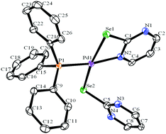 Graphical abstract: Reactivity of hemi-labile pyridyl and pyrimidyl derived chalcogen ligands towards group 10 metal phosphine precursors