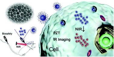 Graphical abstract: Janus Ag/Ag2S beads as efficient photothermal agents for the eradication of inflammation and artery stenosis