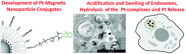 Graphical abstract: Novel synthesis of platinum complexes and their intracellular delivery to tumor cells by means of magnetic nanoparticles