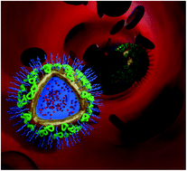 Graphical abstract: Controlling protein interactions in blood for effective liver immunosuppressive therapy by silica nanocapsules