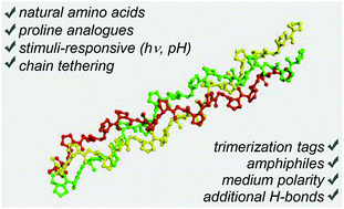 Graphical abstract: Stabilization of the triple helix in collagen mimicking peptides