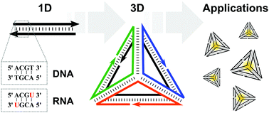 Graphical abstract: High-order structures from nucleic acids for biomedical applications