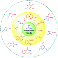 Graphical abstract: Developments towards synthesis of N-heterocycles from amidines via C–N/C–C bond formation