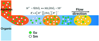 Graphical abstract: Enabling separation intensification of a lanthanide pair with closely similar kinetics based on droplet microfluidics: hydrodynamic and kinetic approaches