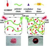 Graphical abstract: A facile way to obtain near-infrared room-temperature phosphorescent soft materials based on Bodipy dyes