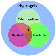 Graphical abstract: In situ-forming, mechanically resilient hydrogels for cell delivery