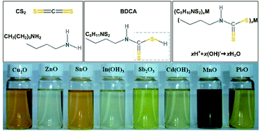 Graphical abstract: Butyldithiocarbamate acid solution processing: its fundamentals and applications in chalcogenide thin film solar cells