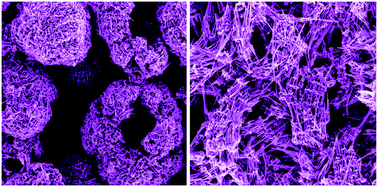 Graphical abstract: Two-step hydrothermal synthesis of (NH4)xWO3 hollow spherical and hierarchical structures